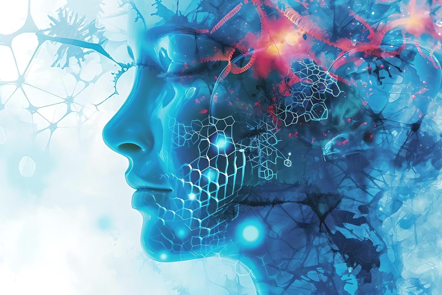 Bildungspartner für hochwertige Online-Kurse